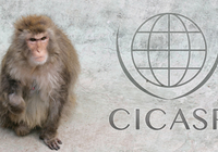 Center for International Collaboration and Advanced Studies in Primatology