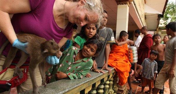 Dr. Lisa Jones-Engel screening macaques in Cambodia for infectious disaeses