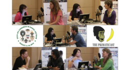 The PrimateCast #28 - Part 4/5 from Our Coverage of the 25th Congress of the Int