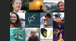 The PrimateCast #32:Conservation Voices - Our Coverage of SCCS Australia